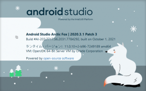 Android Studio Arctic Fox | 2020.3.1 Patch 3