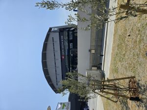 参戦(予定)2025 4 GLION