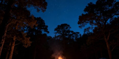 🏕 ソロキャンプしよう[AI] 2