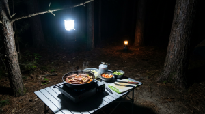 食材を「見る」ための光