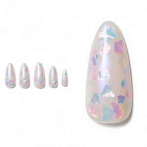 01-19_マーメイド・シェル (Mermaid Shell)]