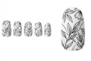 11-05_モノトーン・ボタニカル・スケッチ (Monochrome Botanical Sketch)