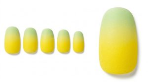 24-23_ベルガモットの目覚め (Bergamot Awakening)