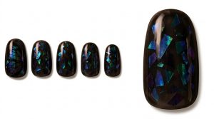 25-26_夜の蝶・オーロラブラック (Night Butterfly Aurora Black)