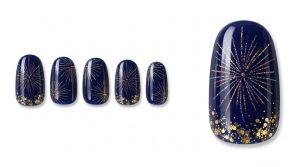 37-03_夜空に咲く打ち上げ花火 (Fireworks in the Night Sky)